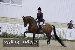 25R13_08754 thumbnail