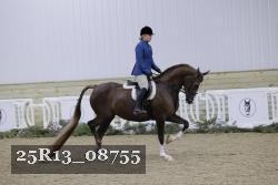 25R13_08755 thumbnail