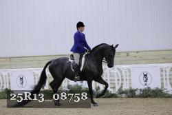 25R13_08758 thumbnail