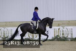 25R13_08759 thumbnail