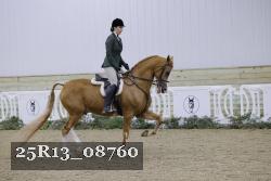 25R13_08760 thumbnail