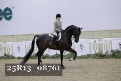25R13_08761 thumbnail