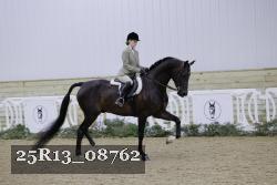 25R13_08762 thumbnail
