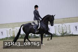 25R13_08765 thumbnail