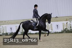 25R13_08766 thumbnail