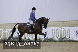 25R13_08767 thumbnail