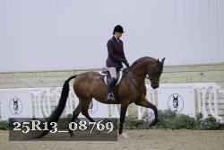 25R13_08769 thumbnail