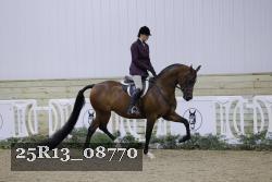 25R13_08770 thumbnail