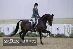 25R13_08771 thumbnail