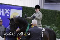 25R13_08772 thumbnail