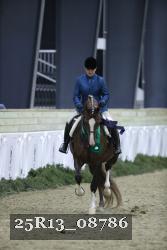 25R13_08786 thumbnail