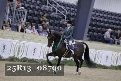 25R13_08790 thumbnail