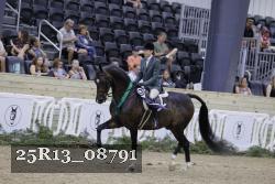 25R13_08791 thumbnail