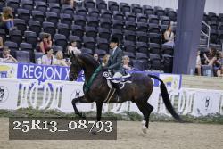 25R13_08793 thumbnail