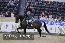 25R13_08794 thumbnail
