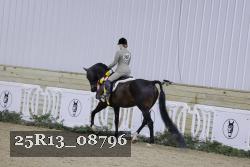 25R13_08796 thumbnail