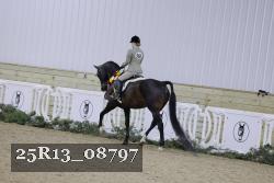 25R13_08797 thumbnail