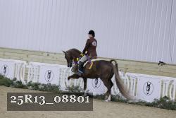 25R13_08801 thumbnail