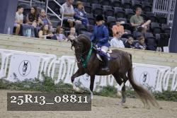 25R13_08811 thumbnail