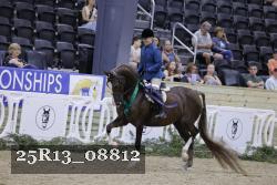 25R13_08812 thumbnail