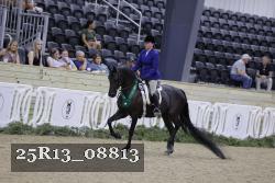25R13_08813 thumbnail
