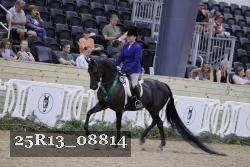 25R13_08814 thumbnail