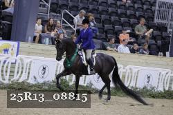 25R13_08815 thumbnail