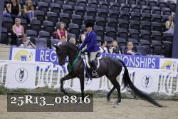 25R13_08816 thumbnail