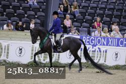 25R13_08817 thumbnail