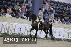 25R13_08818 thumbnail