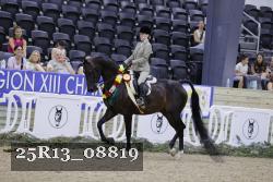25R13_08819 thumbnail