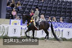 25R13_08820 thumbnail