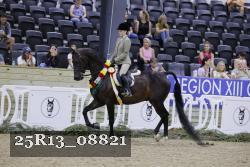 25R13_08821 thumbnail