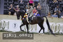 25R13_08823 thumbnail