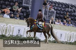 25R13_08824 thumbnail