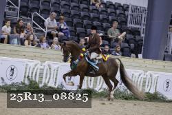 25R13_08825 thumbnail