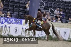 25R13_08826 thumbnail