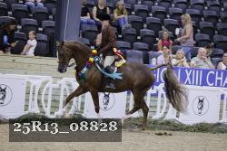 25R13_08828 thumbnail