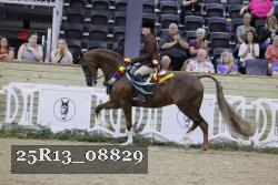 25R13_08829 thumbnail