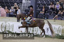 25R13_08830 thumbnail