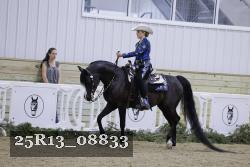 25R13_08833 thumbnail