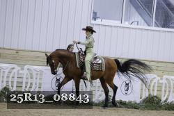 25R13_08843 thumbnail