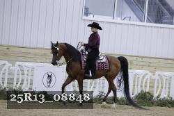 25R13_08848 thumbnail