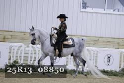 25R13_08850 thumbnail