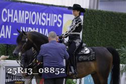 25R13_08852 thumbnail