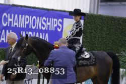 25R13_08853 thumbnail