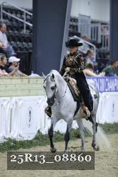25R13_08860 thumbnail