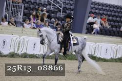 25R13_08866 thumbnail