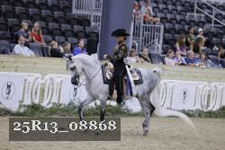 25R13_08868 thumbnail