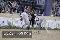 25R13_08869 thumbnail